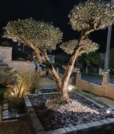 Technipool Amenagement Paysager A La Roche Sur Yon Image Slide 2 1